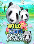 เคล็ดลับการเล่น slot pg bg สุดมันส์ ที่คุณไม่ควรพลาด